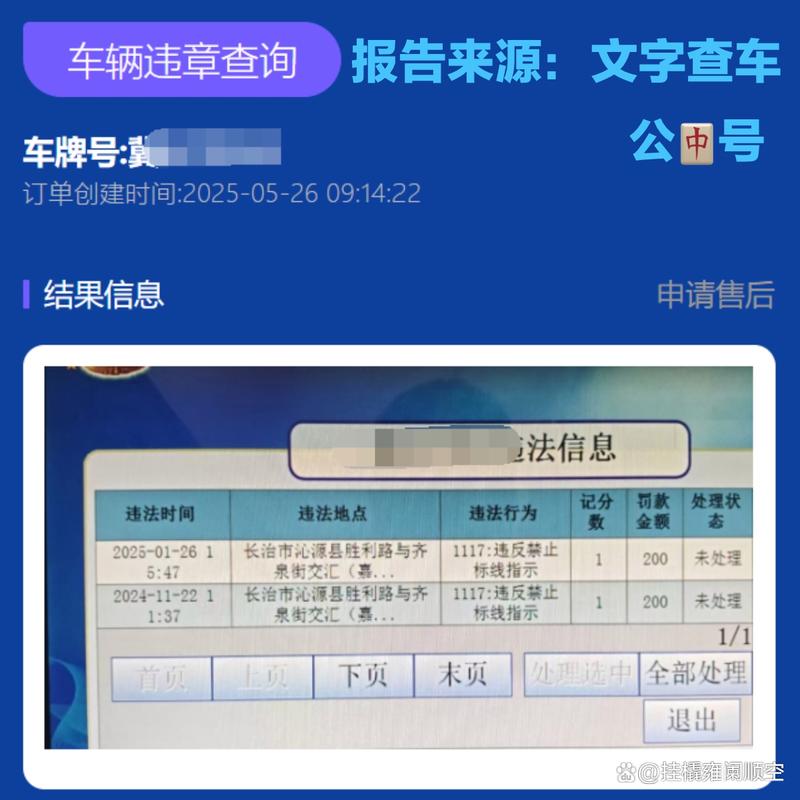 免费违章查询非本人车辆(非车主查违章用什么软件)