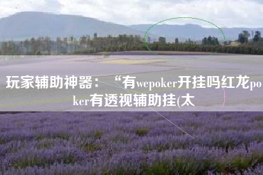 玩家辅助神器:“有wepoker开挂吗红龙poker有透视辅助挂(太 玩家辅助神器:“有wepoker开挂吗红龙poker有透视辅助挂(太