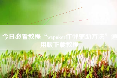 今日必看教程“wepoker作弊辅助方法	”通用版下载教程