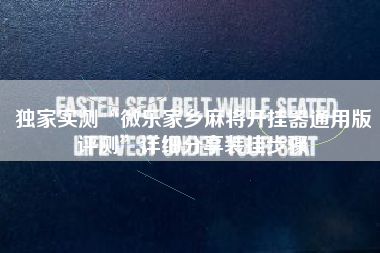 独家实测“微乐家乡麻将开挂器通用版评测	”详细分享装挂步骤