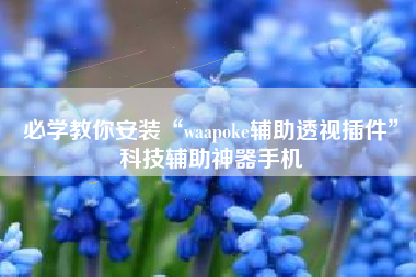 必学教你安装“waapoke辅助透视插件	”科技辅助神器手机
