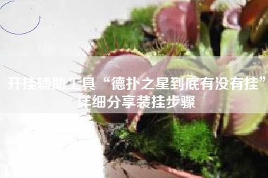 开挂辅助工具“德扑之星到底有没有挂”详细分享装挂步骤
