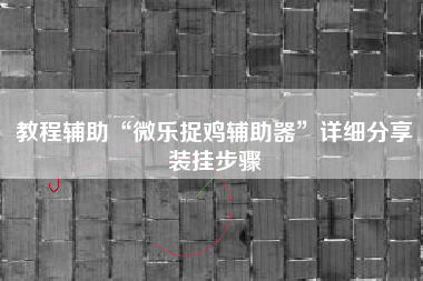教程辅助“微乐捉鸡辅助器”详细分享装挂步骤