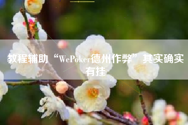 教程辅助“WePoker德州作弊	”其实确实有挂
