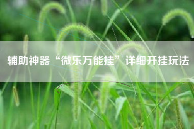 辅助神器“微乐万能挂”详细开挂玩法