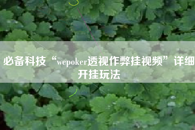 必备科技“wepoker透视作弊挂视频”详细开挂玩法