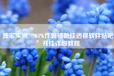 独家实测“WPK作弊辅助挂透视软件贴吧”开挂详细教程