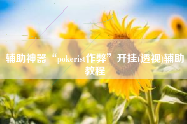 辅助神器“pokerist作弊	”开挂(透视)辅助教程