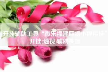 开挂辅助工具“微乐福建麻将小程序挂”开挂(透视)辅助神器