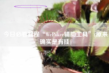 今日必看教程“WePoker辅助工具	”(原来确实是有挂)