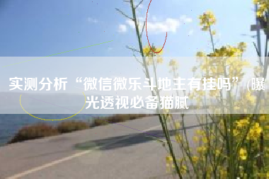 实测分析“微信微乐斗地主有挂吗	”(曝光透视必备猫腻