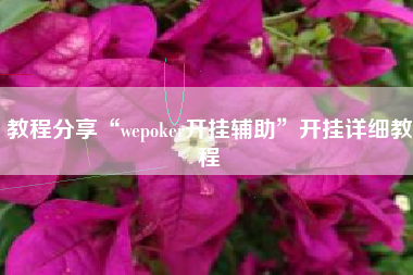 教程分享“wepoker开挂辅助”开挂详细教程