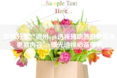 教程分享“德州wpk透视辅助器最新版本更新内容”(曝光透视必备猫腻