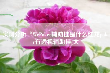 实测分析“WePoker辅助挂是什么红龙poker有透视辅助挂(太