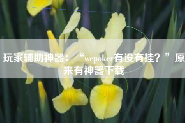玩家辅助神器：“wepoker有没有挂？”原来有神器下载