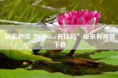 玩家必读“WePoker有挂吗	”原来有神器下载