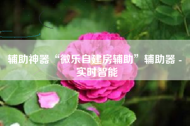 辅助神器“微乐自建房辅助”辅助器 - 实时智能