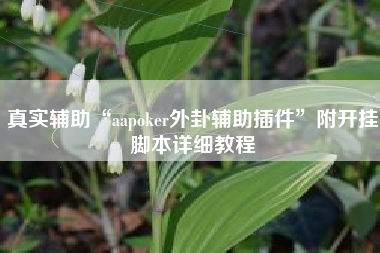 真实辅助“aapoker外卦辅助插件”附开挂脚本详细教程