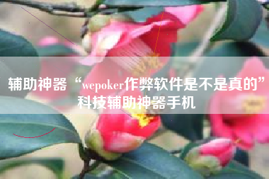 辅助神器“wepoker作弊软件是不是真的	”科技辅助神器手机