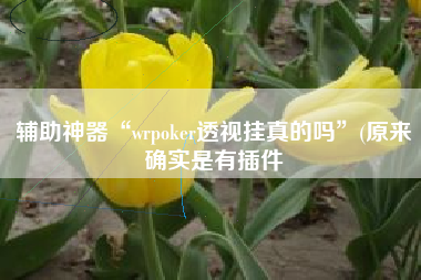 辅助神器“wrpoker透视挂真的吗”(原来确实是有插件