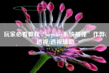 玩家必看教程“wepoker系统规律	”作弊(透视)透视辅助