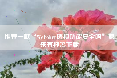 推荐一款“WePoker透视功能安全吗	”原来有神器下载