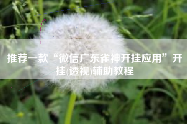 推荐一款“微信广东雀神开挂应用	”开挂(透视)辅助教程