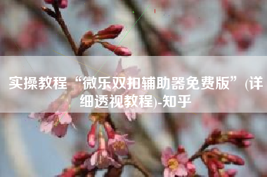 实操教程“微乐双扣辅助器免费版	”(详细透视教程)-知乎