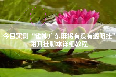 今日实测“雀神广东麻将有没有透明挂”附开挂脚本详细教程