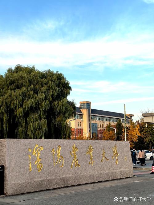 沈阳农业大学降为二本 沈阳农业大学将为二本