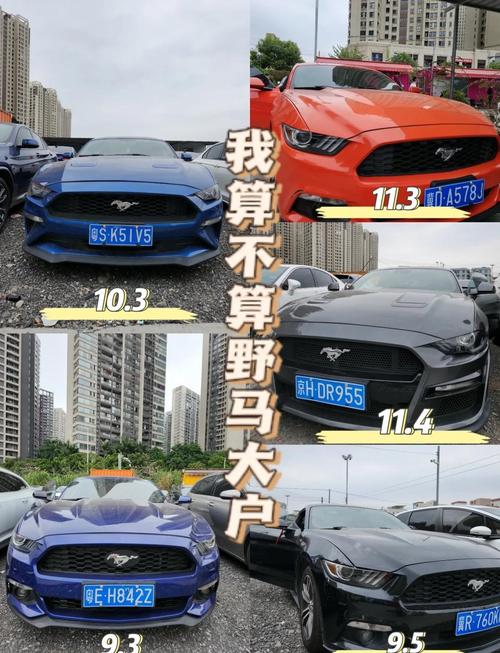 福特野马二手多少钱(二手 福特野马)